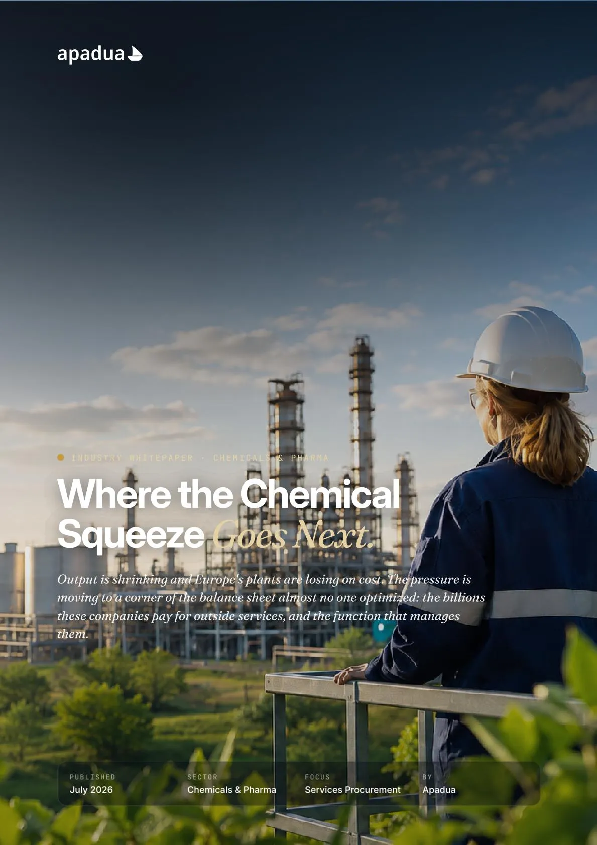 The Chemical Squeeze - Cover